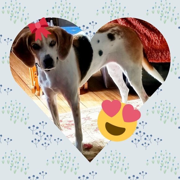 ❣ Meet your Posher, Rosecentric ❣ - Picture 1 of 6